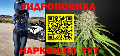 Альфа ПВП Пенза