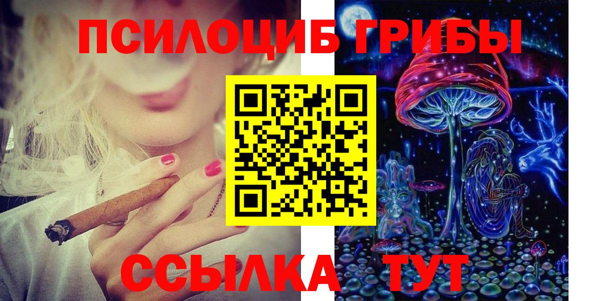 Скопин  Галлюциногенные грибы прущие грибы  Псилоцибиновые грибы Psilocybine cubensis  Вход с VPN 